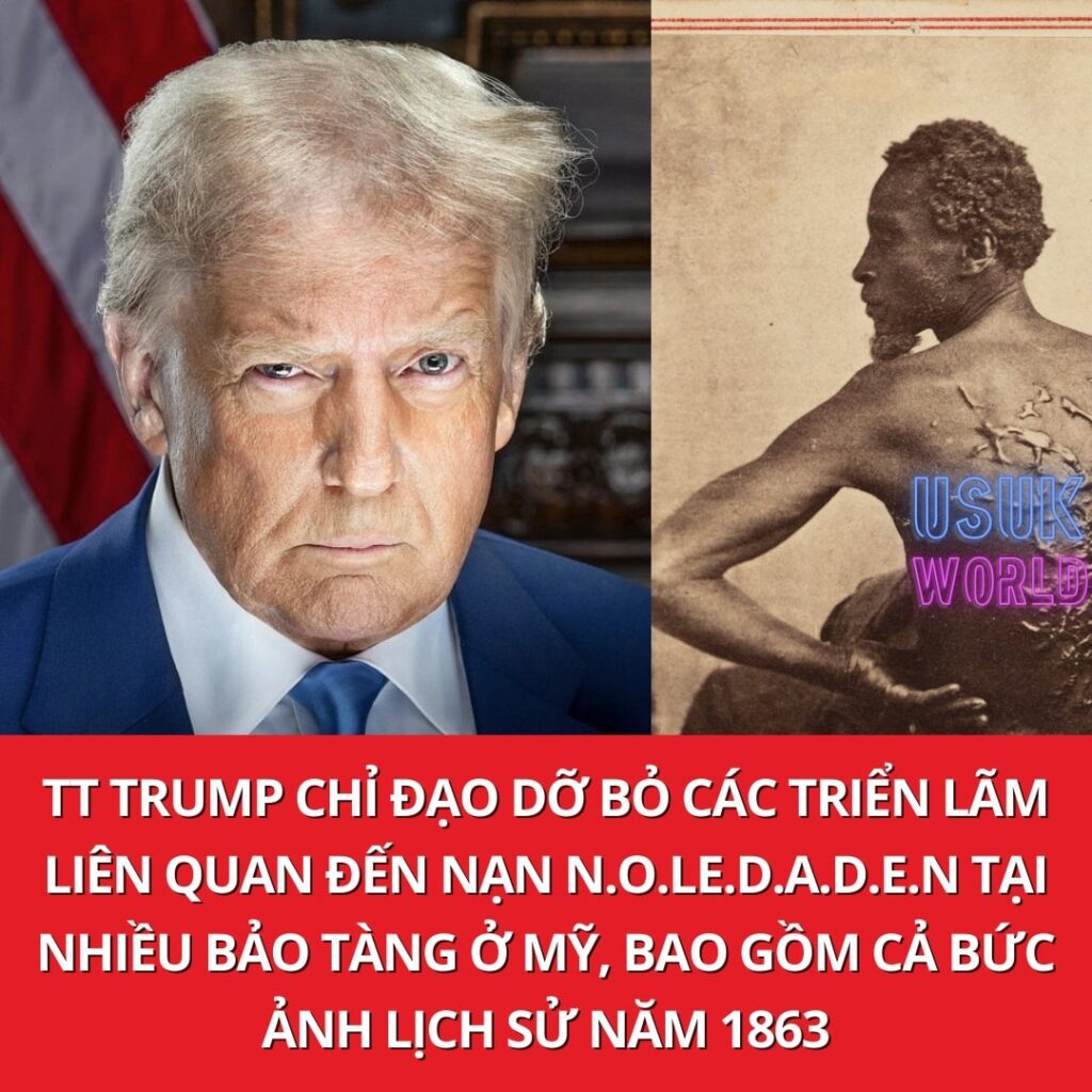 1757989688 41 549999871 803935632159307 121755939534898444 n