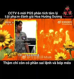 Phê bình bộ phim Hoa Hướng Dương: Thất bại trong nghệ thuật 2 490502122 942630007784885 4549757300253803838 n
