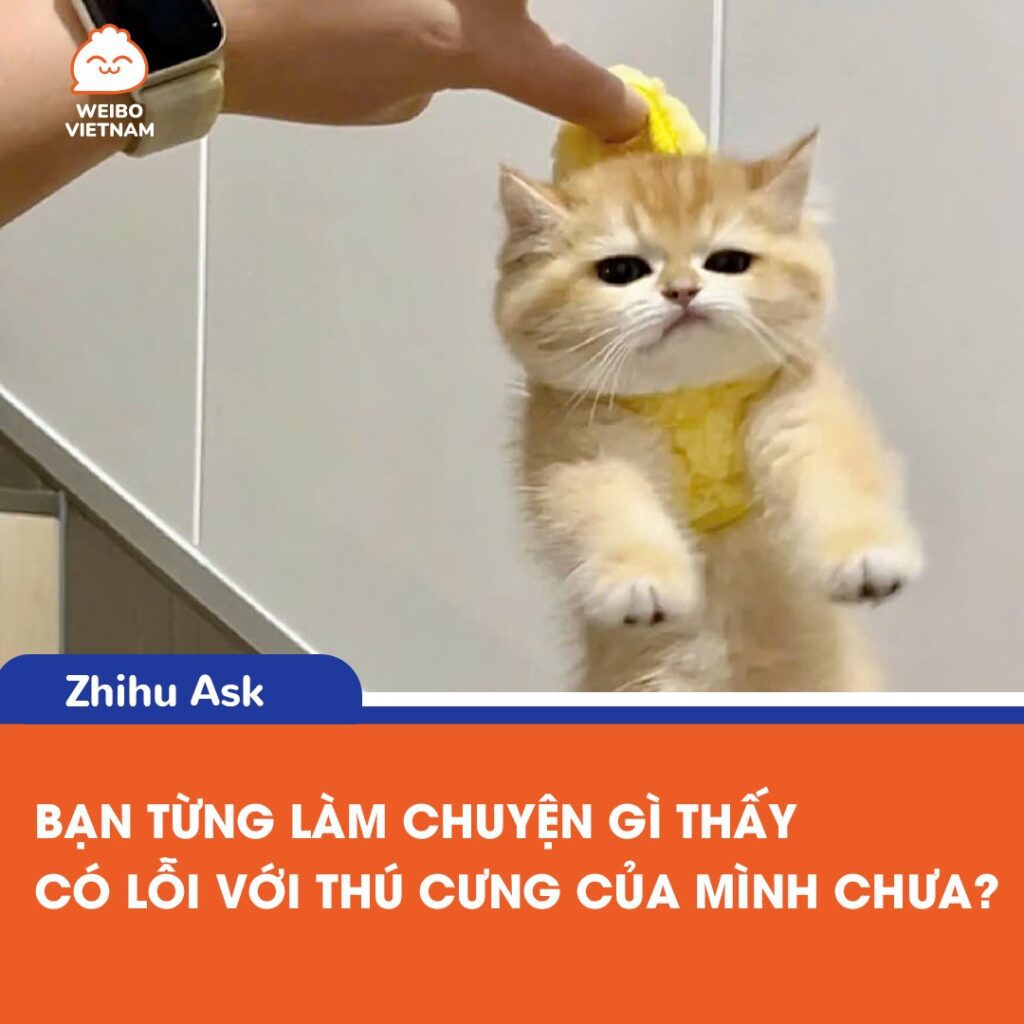 Những khoảnh khắc hài hước với thú cưng khiến bạn phải suy ngẫm 2 545391523 1176773101150065 818946181650547751 n