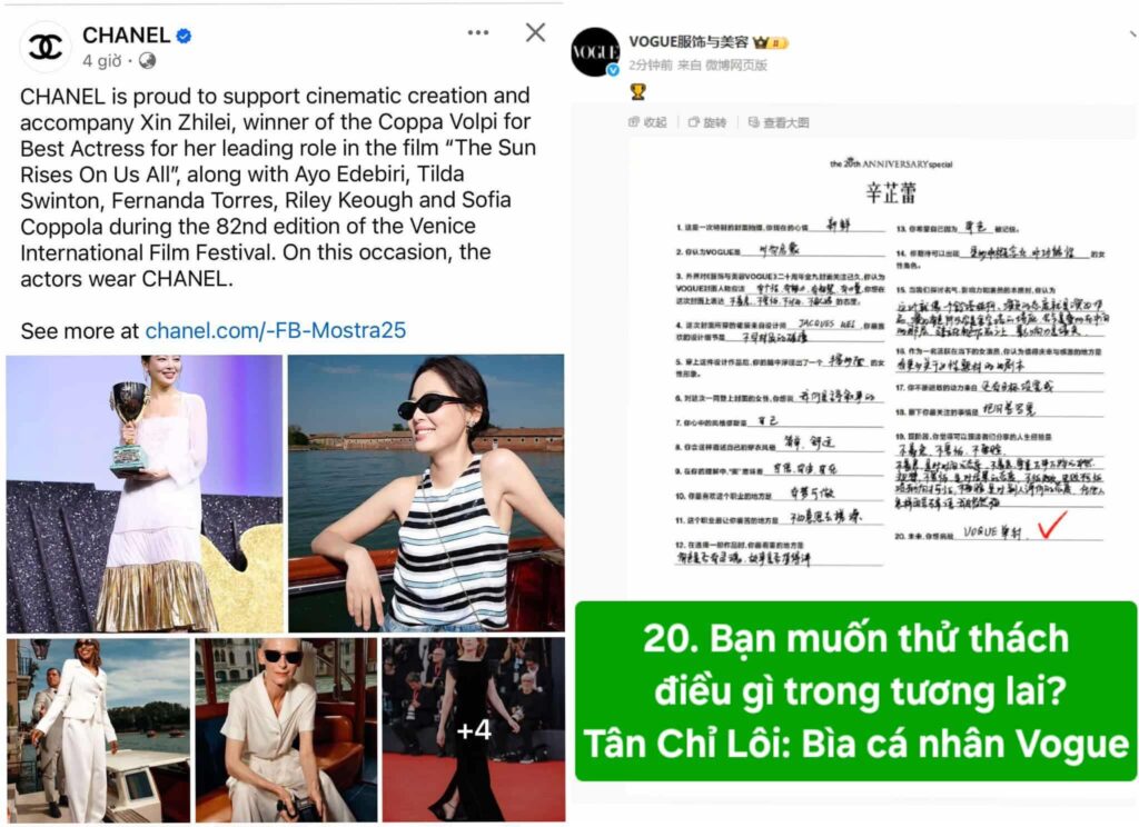 Tân Chỉ Lôi: Từ Ước Mơ Đến Giải Ảnh Hậu Quốc Tế 2 545577681 785176298013267 788272879320995214 n