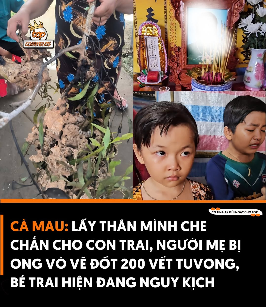 Tai nạn thương tâm: Mẹ tử vong, con nguy kịch vì ong vò vẽ 2 545590165 1230075012498408 5131000394496965710 n