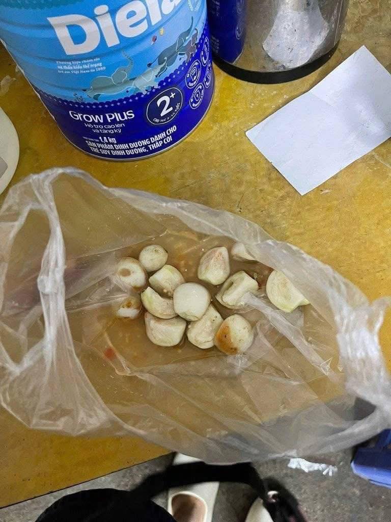 Câu chuyện hài hước về giá cà và sự ăn ở 3 545597786 1206666521491905 301454009490246923 n