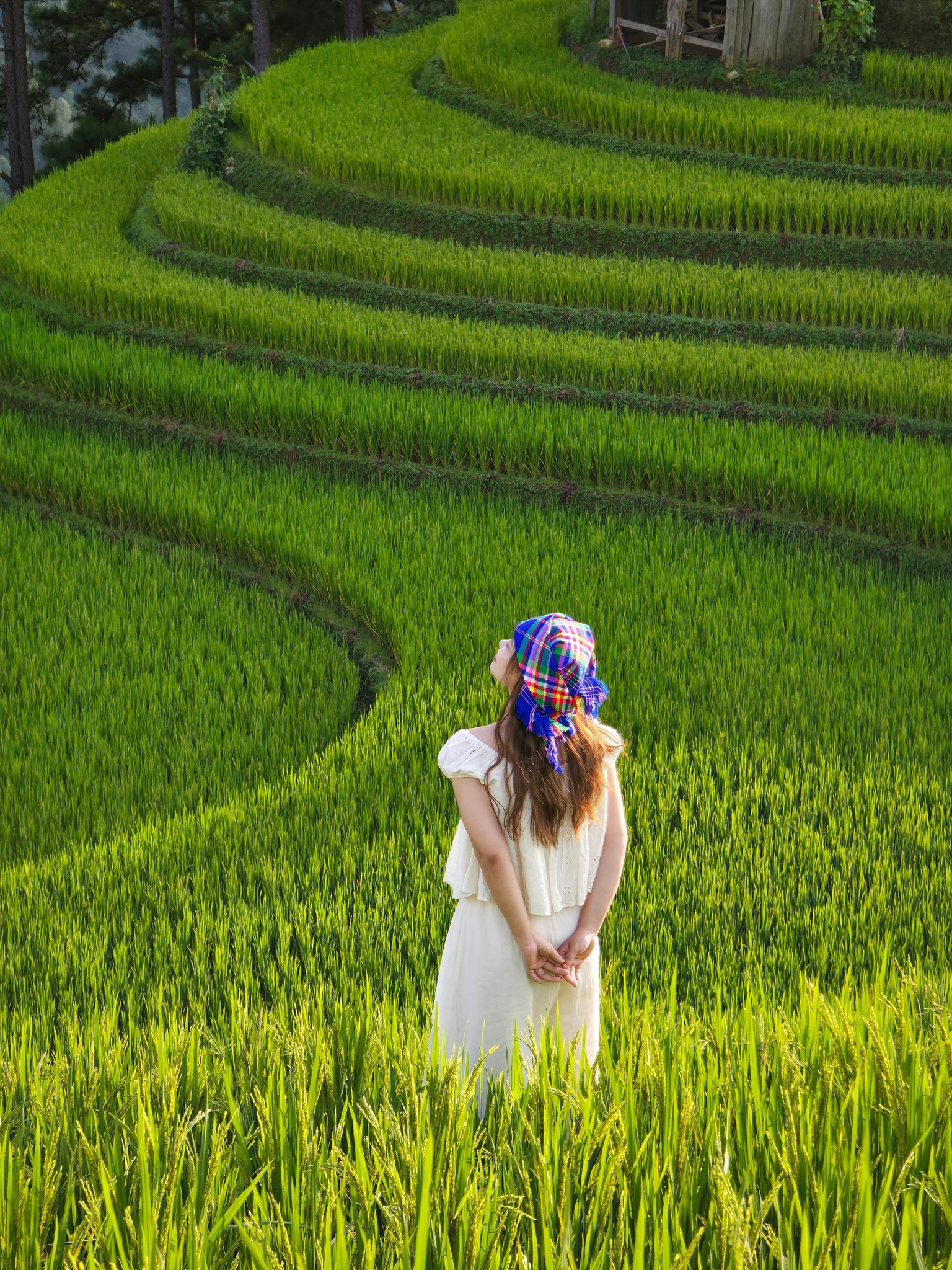 Khám Phá Vẻ Đẹp Mù Cang Chải Qua Từng Mùa 4 545613559 1128598539466140 1687069611902120244 n