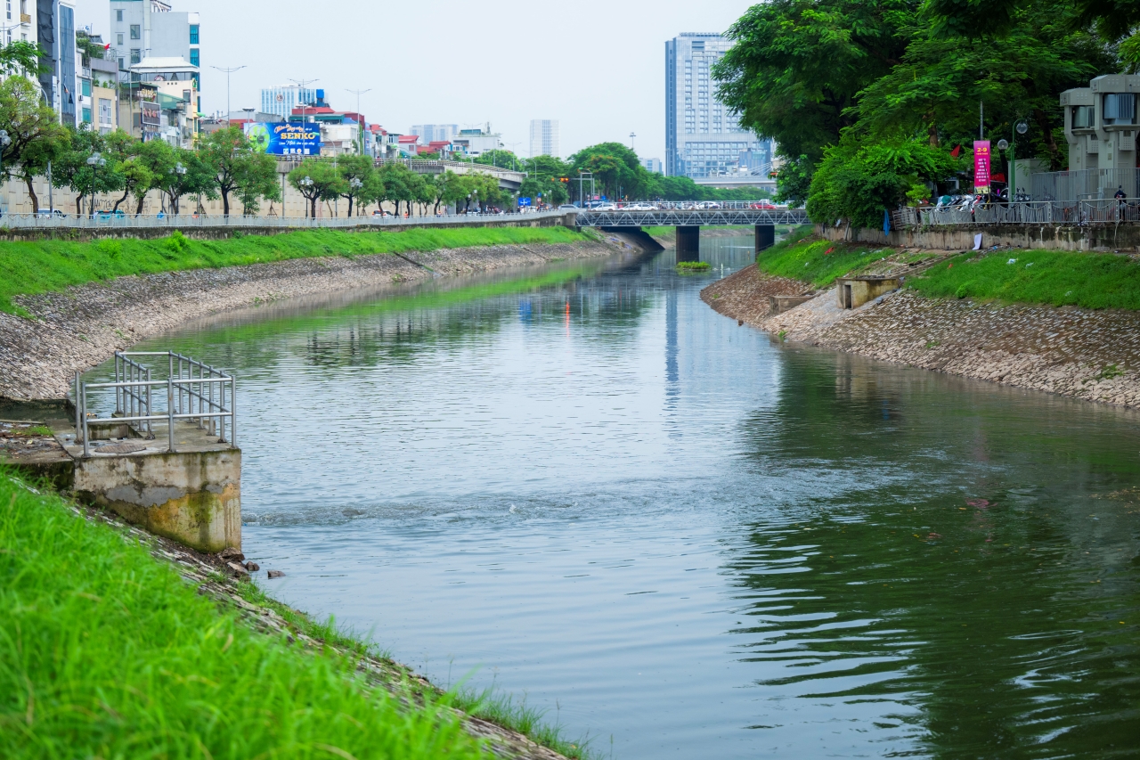 Cá bơi tung tăng trên sông Tô Lịch, tín hiệu mừng cho Hà Nội 6 545758749 1122346336663228 2220156482522156003 n