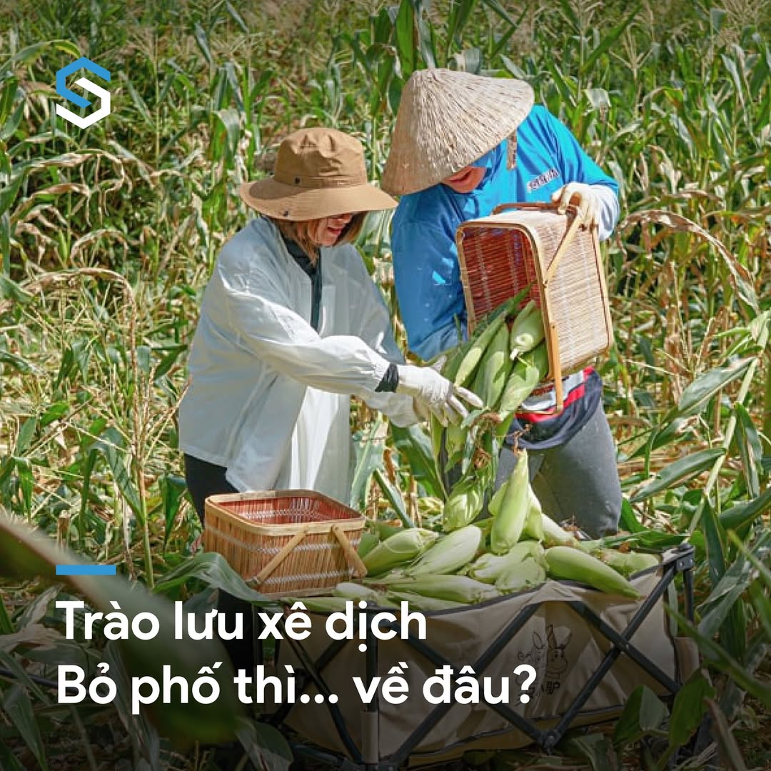 Relocation: Trào lưu hay xu hướng tất yếu trong cuộc sống hiện đại? 2 546021555 1205253811632987 3486848380030255384 n
