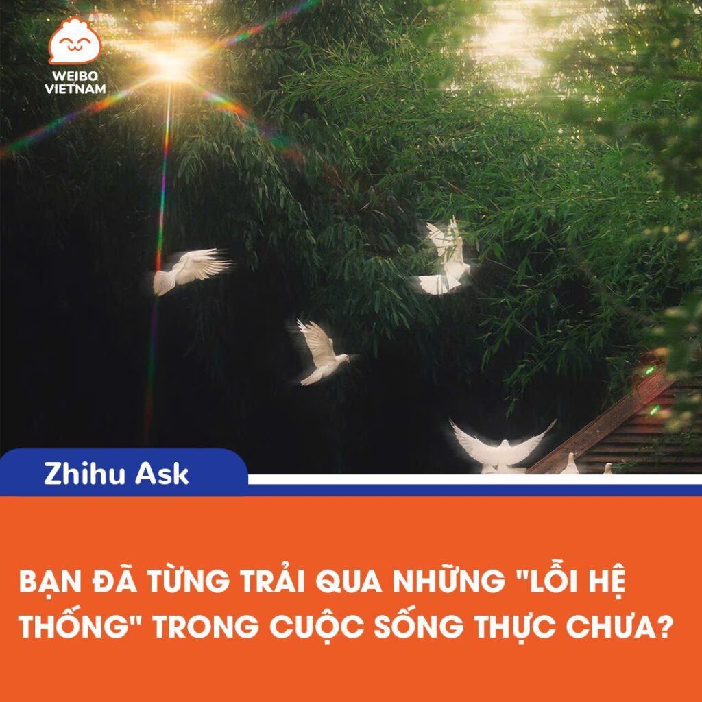 Những khoảnh khắc bí ẩn trong cuộc sống: Có phải là lỗi hệ thống? 2 546514360 1178441140983261 7230949990265116557 n