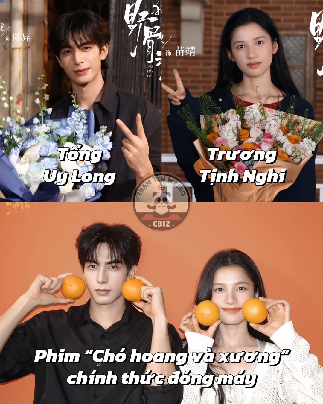 Phim 'Chó Hoang và Xương' chính thức phát hành tài liệu đóng máy 2 546614886 122284906994031198 4951862062978338922 n
