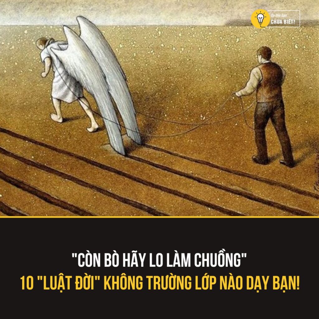 10 Bài Học Đời Không Trường Lớp Nào Dạy Bạn 2 546845263 1355513692910189 4202884366900769066 n