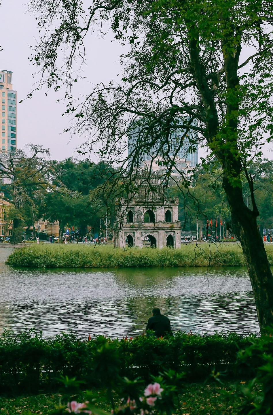 Khám Phá Vẻ Đẹp Việt Nam Qua Những Khoảnh Khắc Bình Dị 2 546868521 1131120992547228 211361704210385371 n