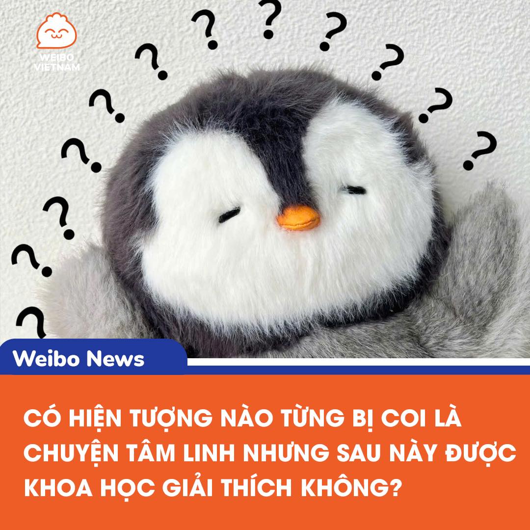 Hài hước câu chuyện 'Sadako' và tấm 'da chuột' bí ẩn 2 547250156 1180083687485673 5149818633040124653 n