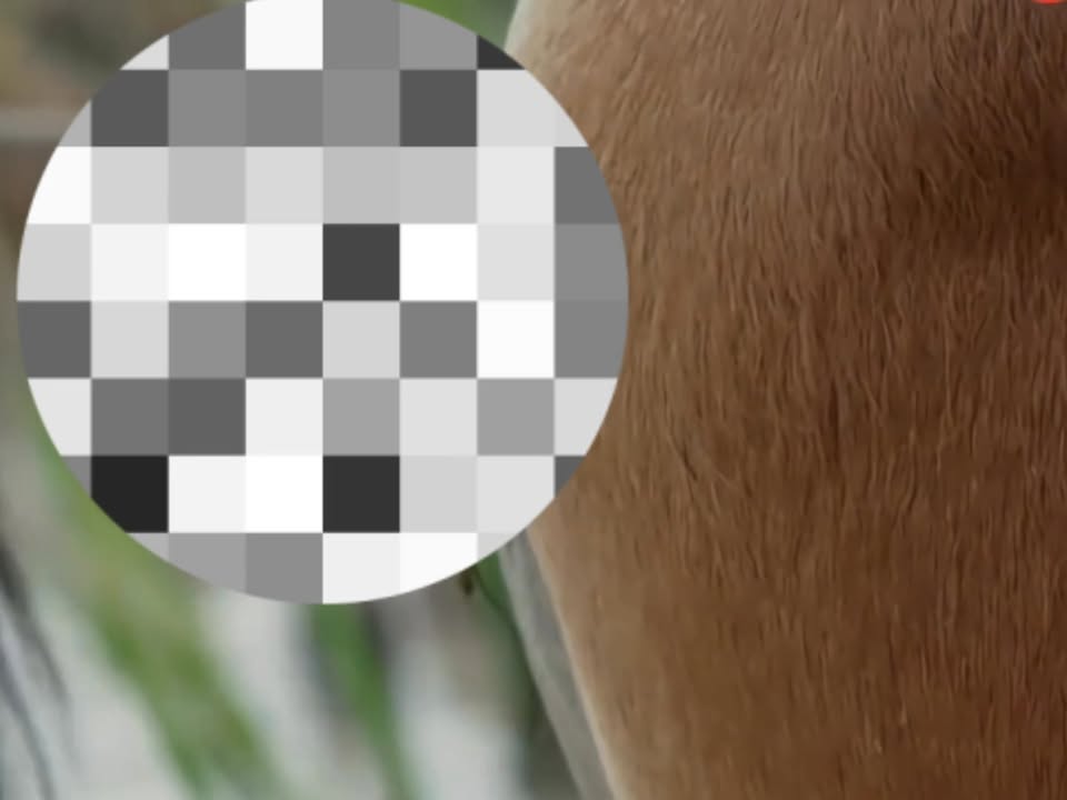 547285443 1199820668620492 4206880095541927888 n