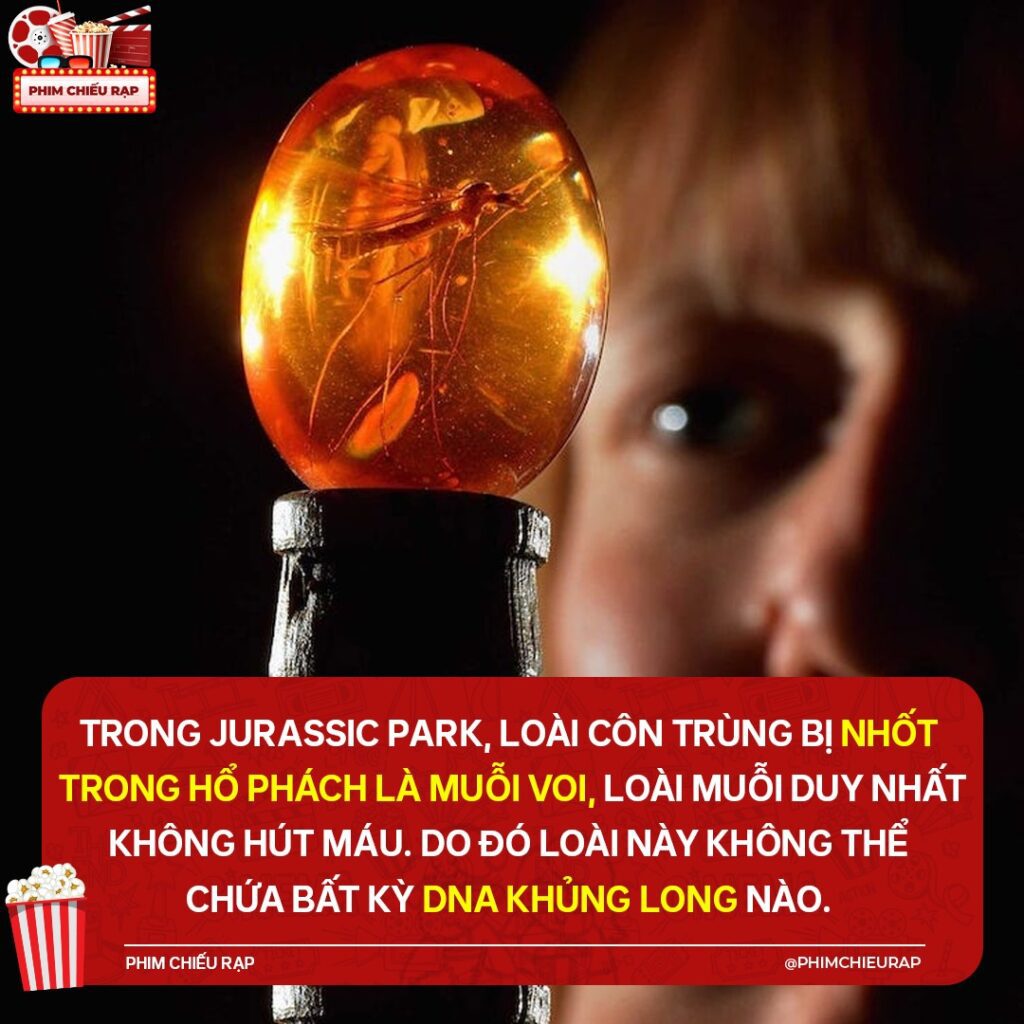 Khám Phá Bí Mật Về Muỗi Trong Công Viên Kỷ Jura 2 547375446 762071763344628 3939149559411143961 n