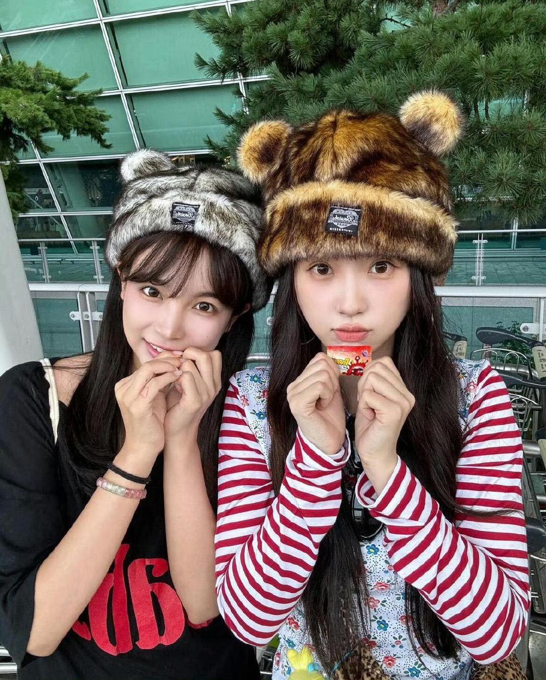 Bạn thân Ngu Thư Hân gây chú ý với bài viết ủng hộ 2 547542455 1311560296998121 524278840567323206 n