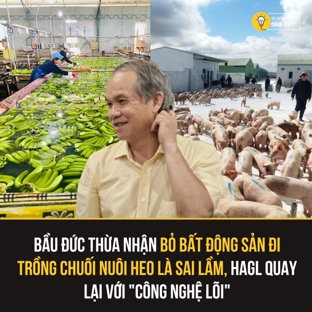 Bầu Đức: Từ chối bất động sản và trở lại với nông nghiệp 2 548015746 1357910152670543 608483699060798058 n