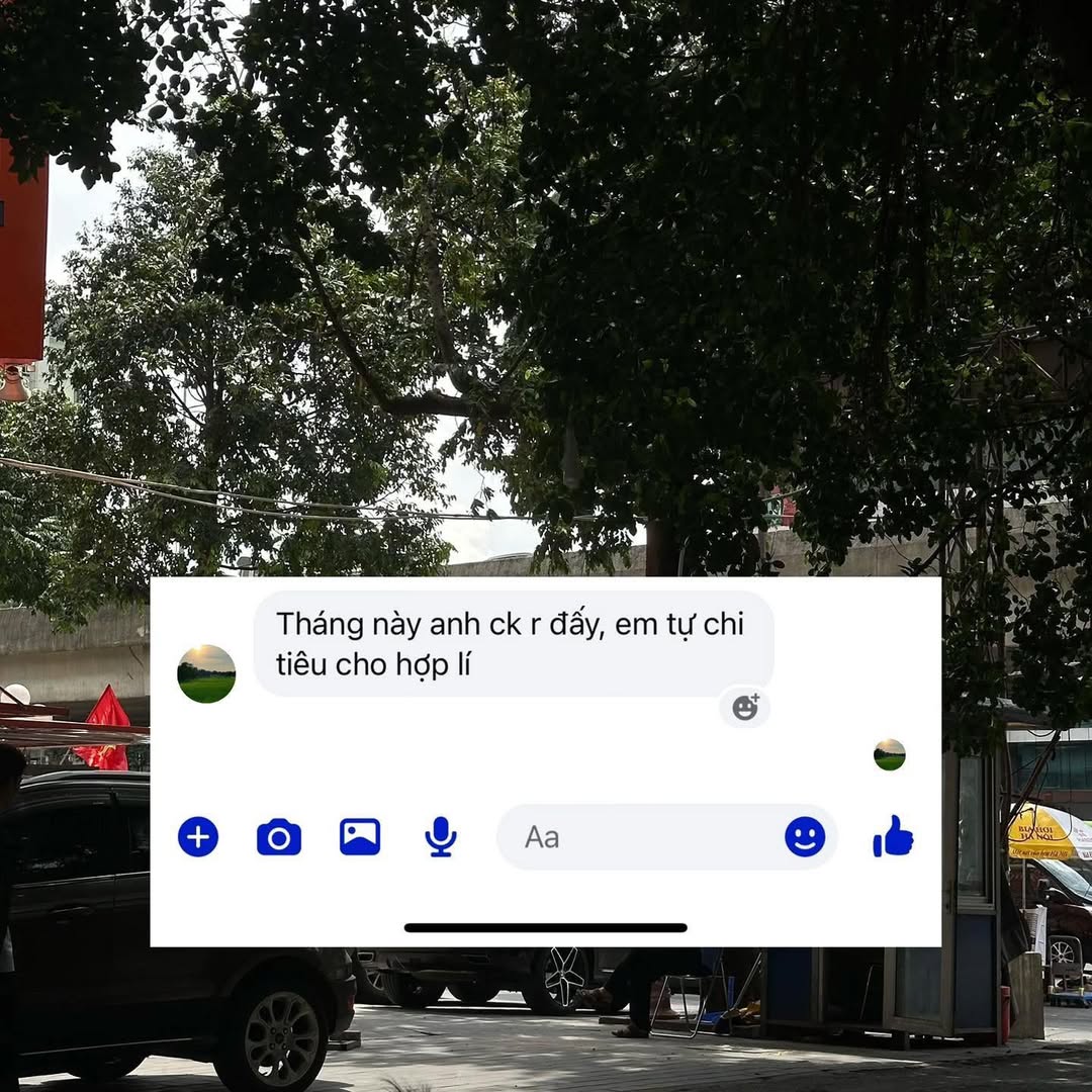 548194797 1212033527621871 846998346477947949 n
