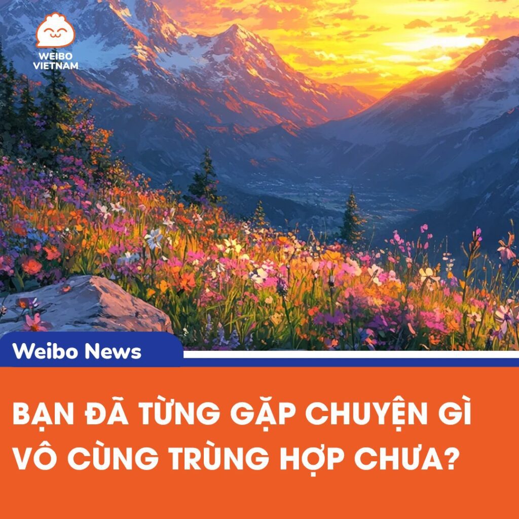 Cuộc Gặp Gỡ Định Mệnh Tại Núi Rigi Ở Thụy Sĩ 2 548303818 1181723983988310 4713299604238998220 n