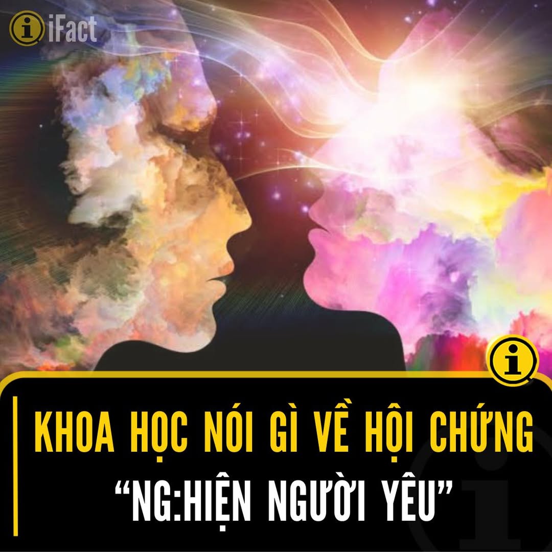 Tình Yêu: Một Phản Ứng Sinh Học Giống Như Nghiện 2 548481659 1216804147152073 8871451060147377814 n