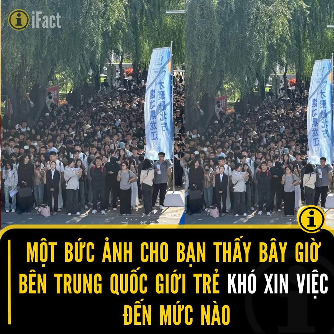 Tuyển dụng tại Đại Học Hắc Long Giang: Cuộc đua giành việc làm 2 548498034 1216286603870494 7609523670934218944 n