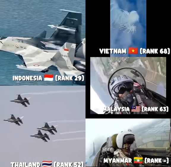 548642867 1307172637663385 2400666040862275630 n