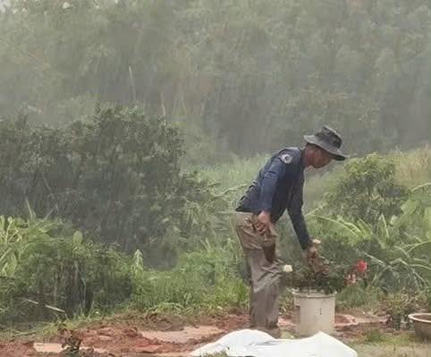Người chồng đau lòng trồng 1000 cây hoa hồng tưởng nhớ vợ 4 548672435 1182885020538873 657672225429641805 n