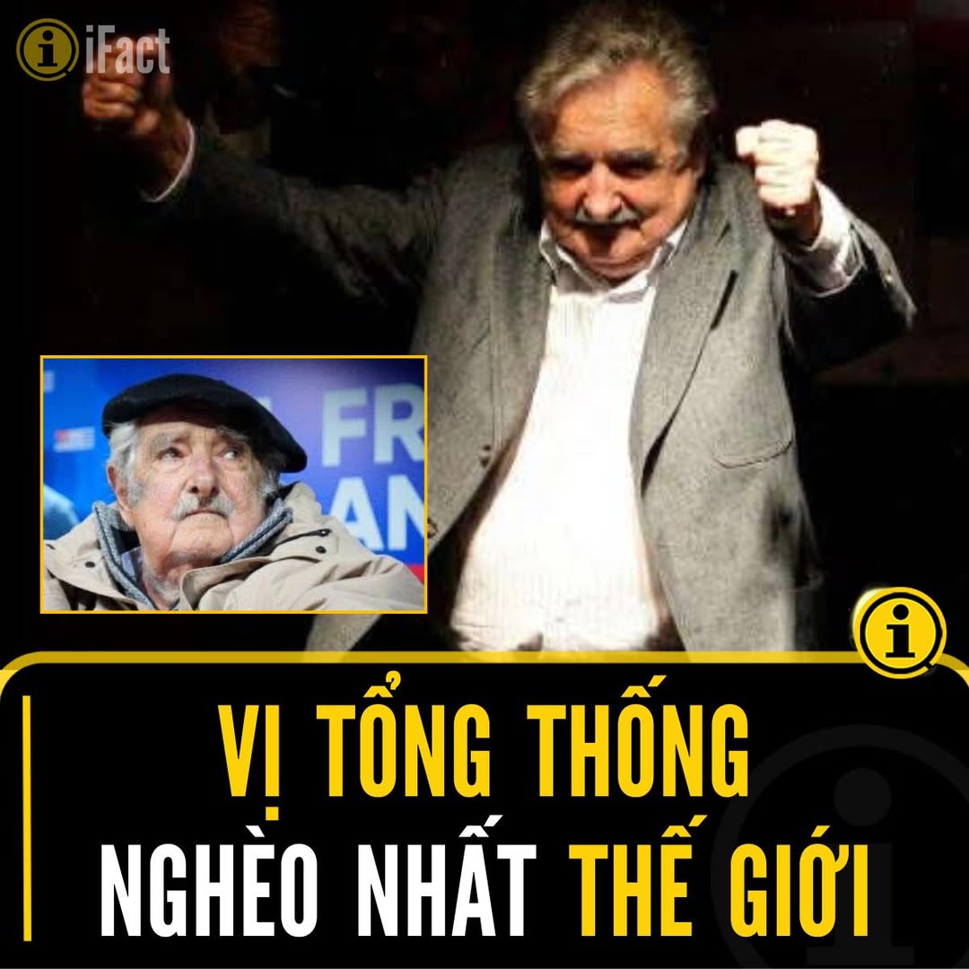 Cuộc đời giản dị của Tổng thống nghèo nhất thế giới 2 548727004 1219253273573827 8196415181148593540 n