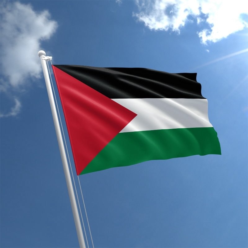 PinkPantheress kêu gọi nghệ sĩ lên tiếng vì Palestine 3 549281664 1406193928173404 170321987773042438 n