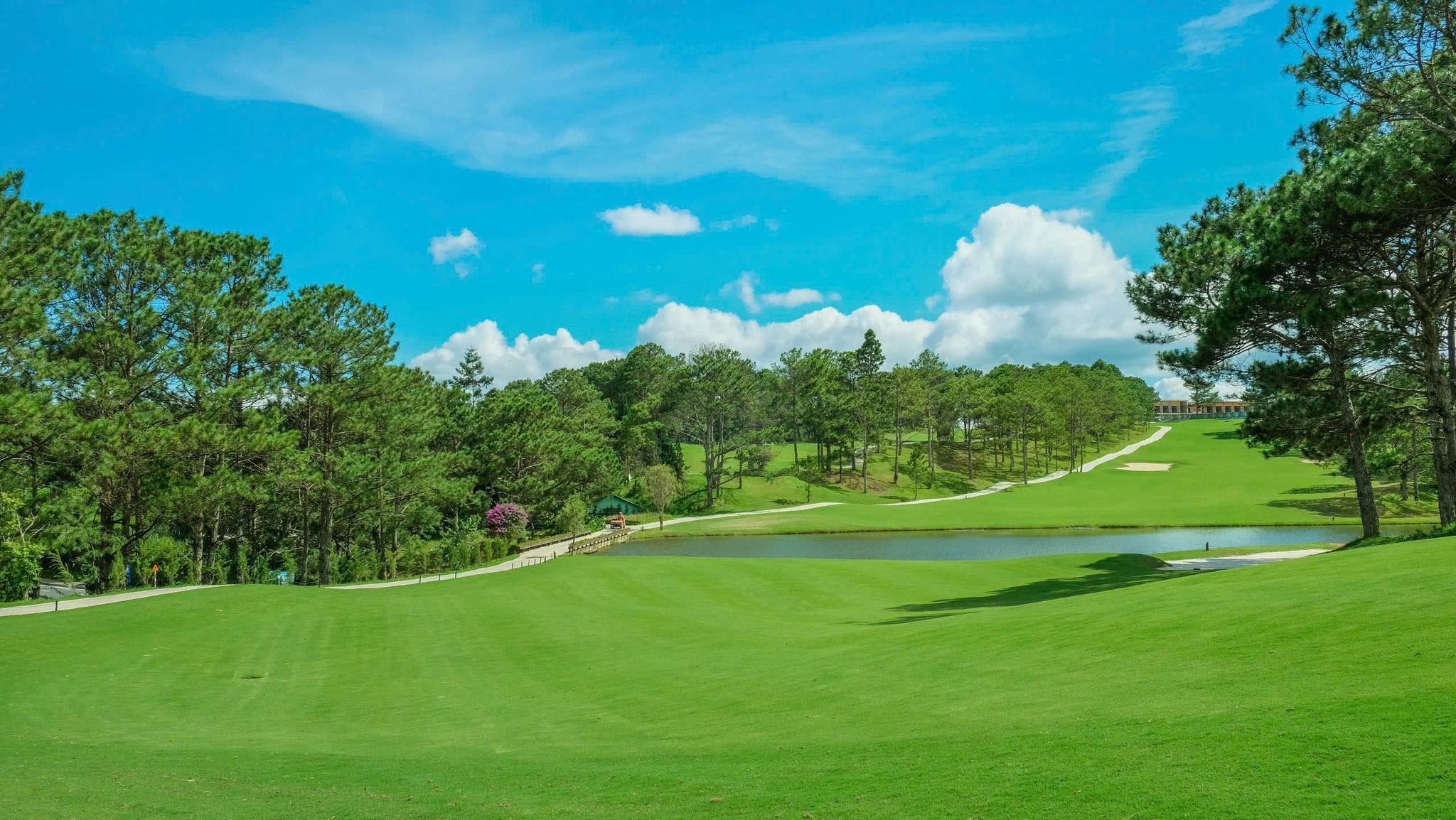 Công Bố Giải Đấu Golf Quốc Tế Vietnam Legends Championship 2025 3 549386754 1131799529146041 3451258042945294995 n