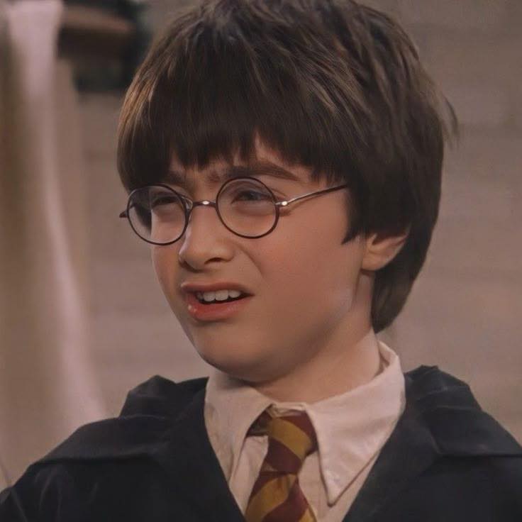 Sự Thật Thú Vị Về Harry Potter: Liệu Có Phải Là Kẻ Ngốc? 2 549718237 122181052454427003 9212043571241992149 n