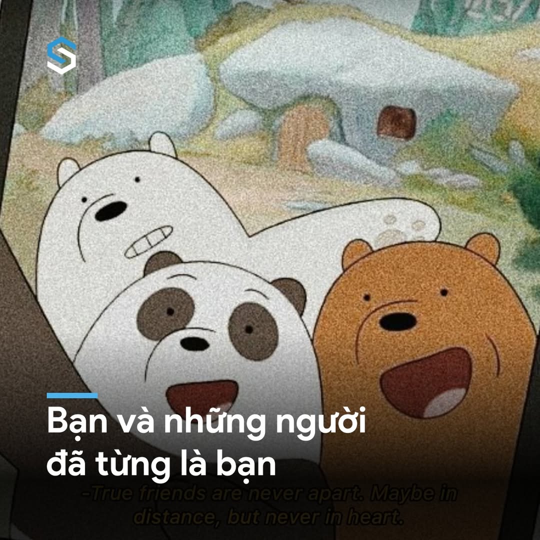 Tình Bạn: Những Ký Ức Đáng Trân Trọng 2 550080100 1211292204362481 643209649757911483 n