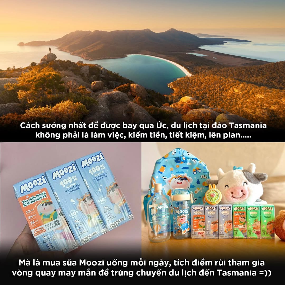 Cơ Hội Du Lịch Úc Dễ Dàng Với Moozi 2 550163252 1122967736595322 422731298049816380 n