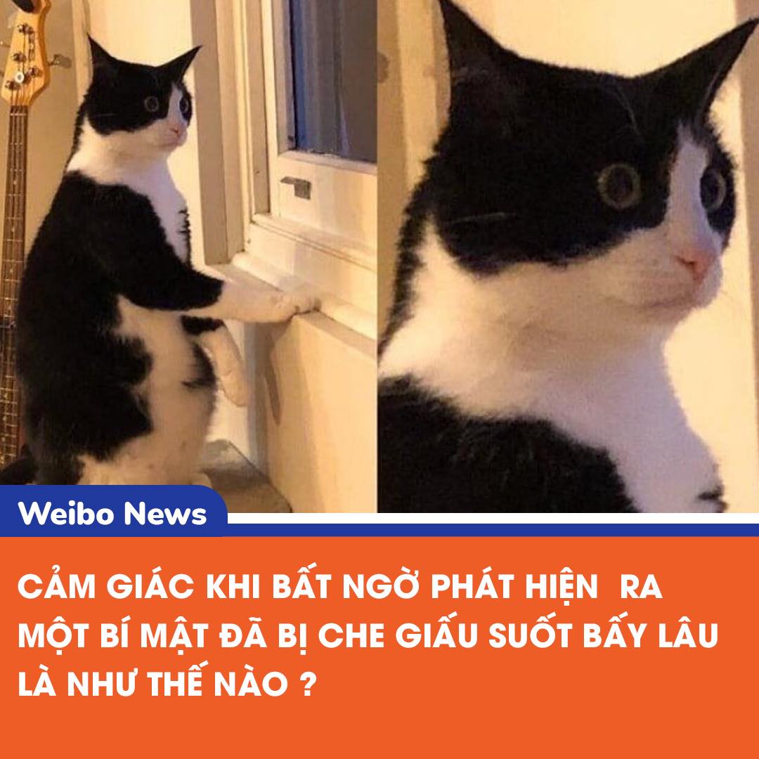 Bí mật tuổi thơ: Những câu chuyện thú vị và bất ngờ 2 550167444 1186835450143830 5576072785150676005 n