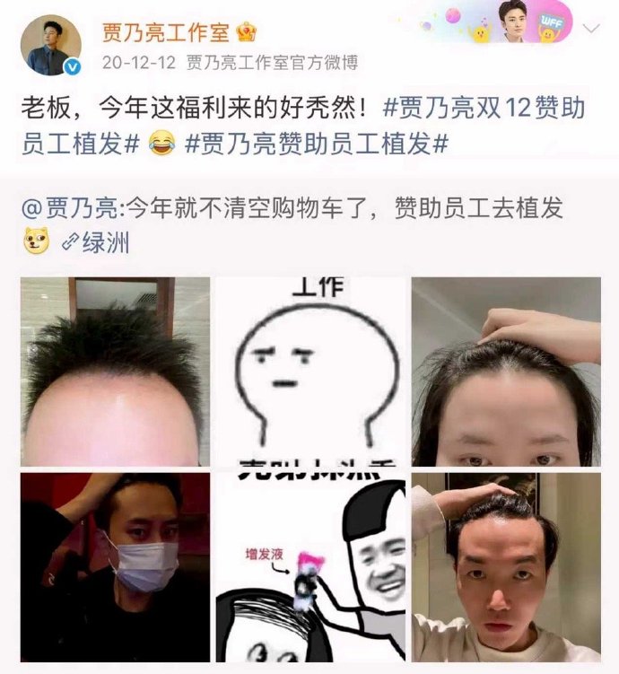 Giả Nãi Lượng - Ông Chủ Thần Tiên Đáng Mơ Ước 4 550741398 705303222527248 4599531468002916238 n