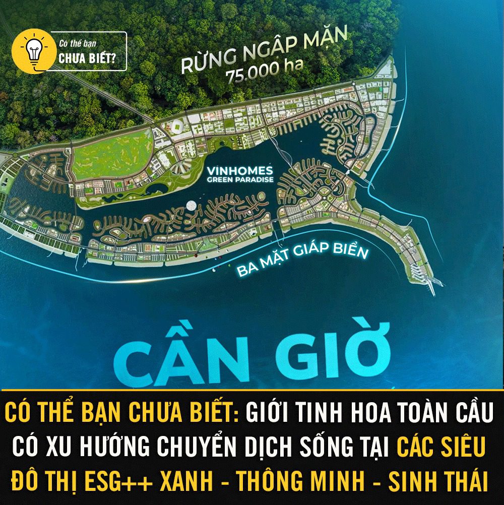 Cần Giờ: Siêu đô thị xanh giữa lòng thiên nhiên 2 550747513 1362226695572222 53916108062776782 n