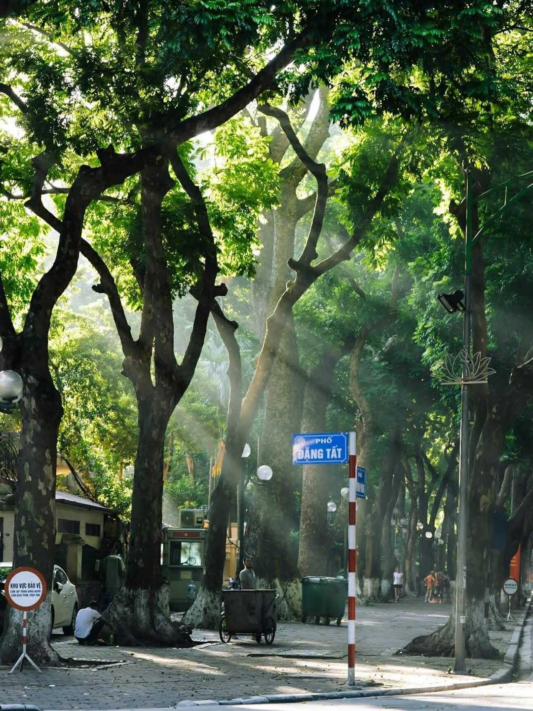Mùa thu Hà Nội: Hương sắc và nỗi nhớ 6 550845221 1133627482201780 1043255349404660270 n