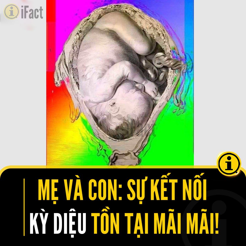 Kỳ diệu tình mẫu tử: Sự kết nối vĩnh cửu giữa mẹ và con 2 552328888 1222188993280255 6228017192763052637 n