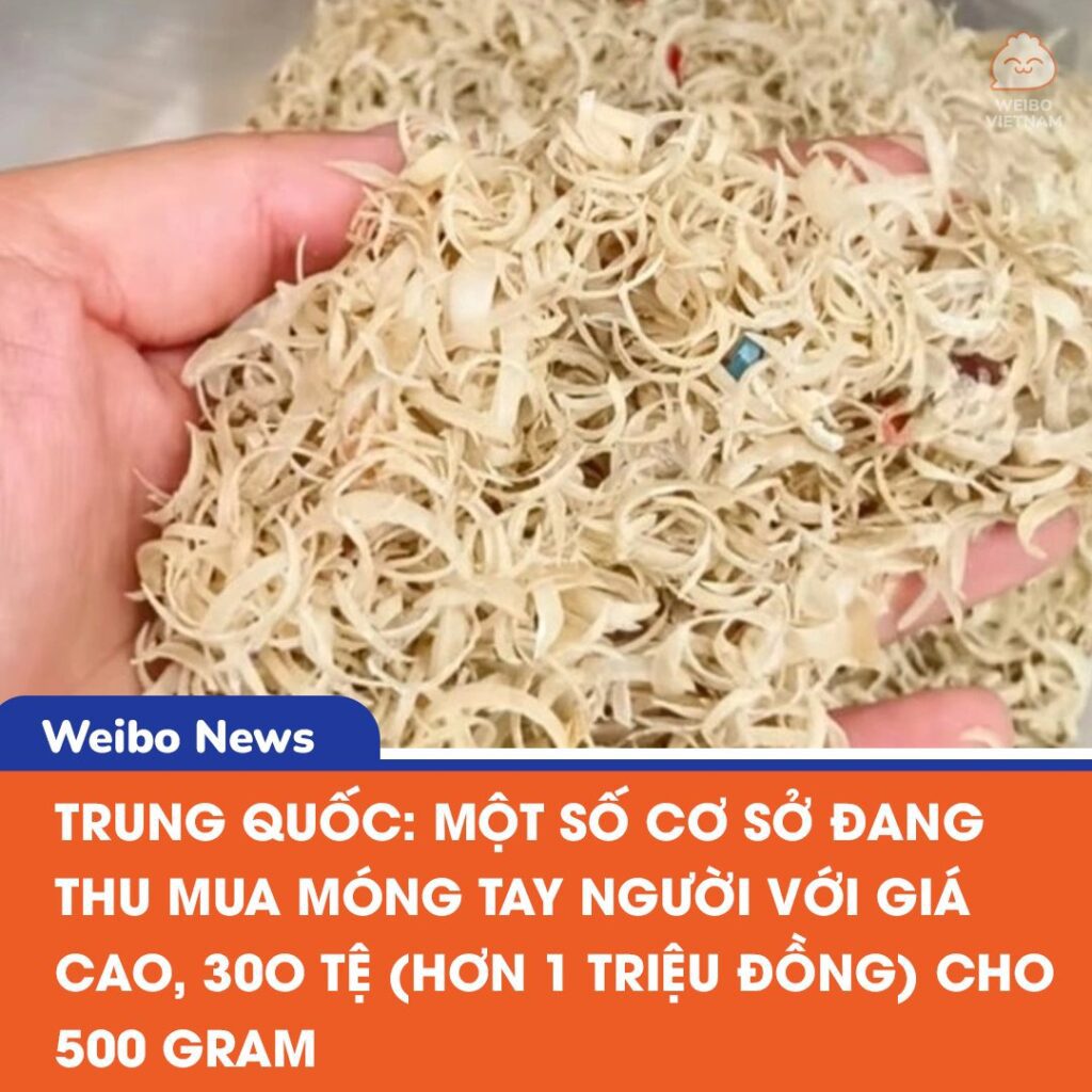 Móng tay người: Vị thuốc cổ truyền giá cao bất ngờ tại Trung Quốc 2 553793261 1188817406612301 549496280127916297 n