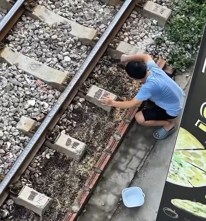553825760 1436804594094131 5731665953451316079 n