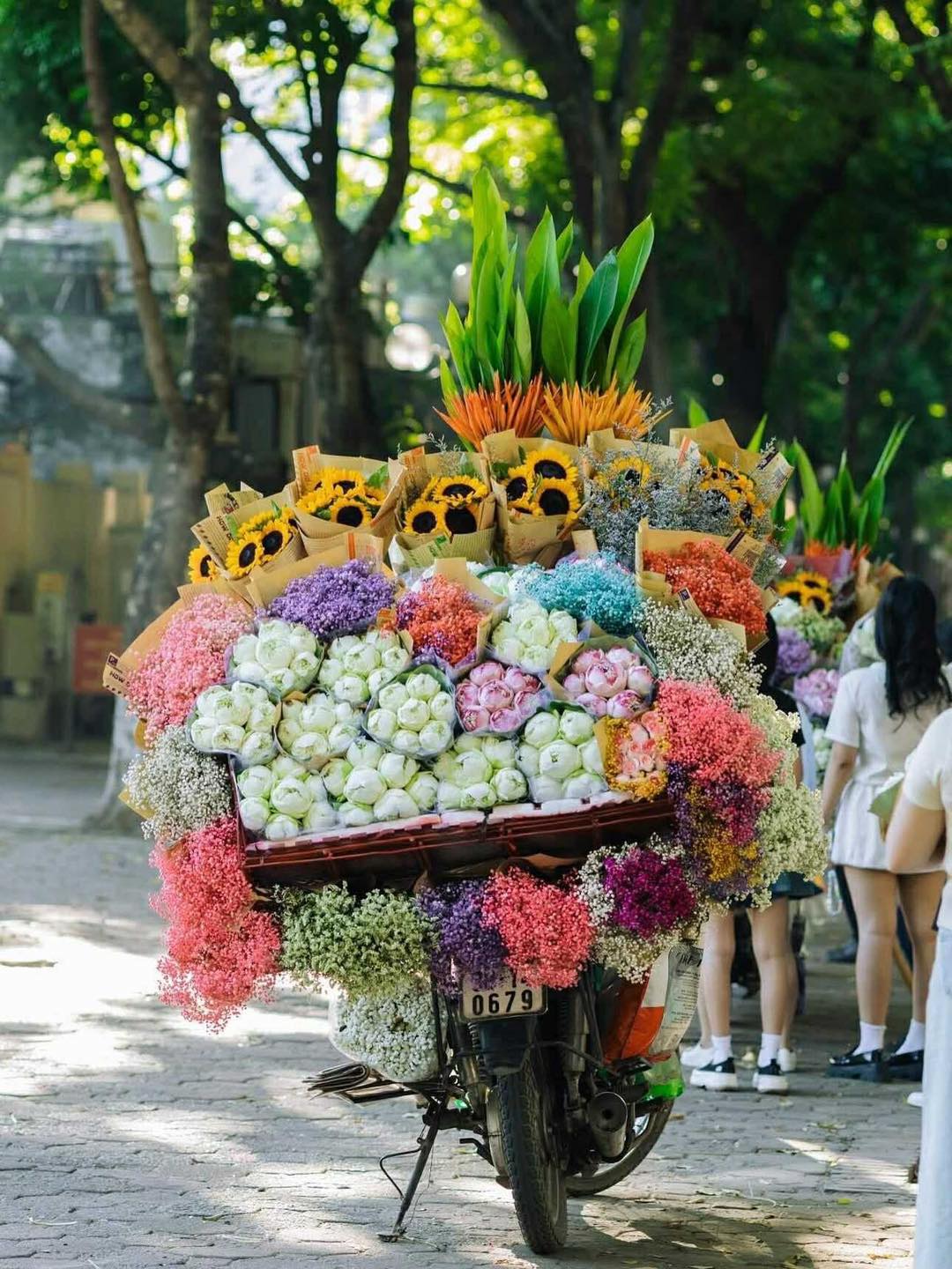 Mùa thu Hà Nội: Hương sắc và nỗi nhớ 5 554092539 1133627432201785 62467630672230784 n