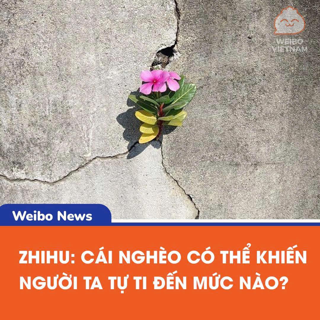 Cái nghèo và nỗi lòng của tuổi thơ 2 554100276 1189359673224741 5461614284727502179 n