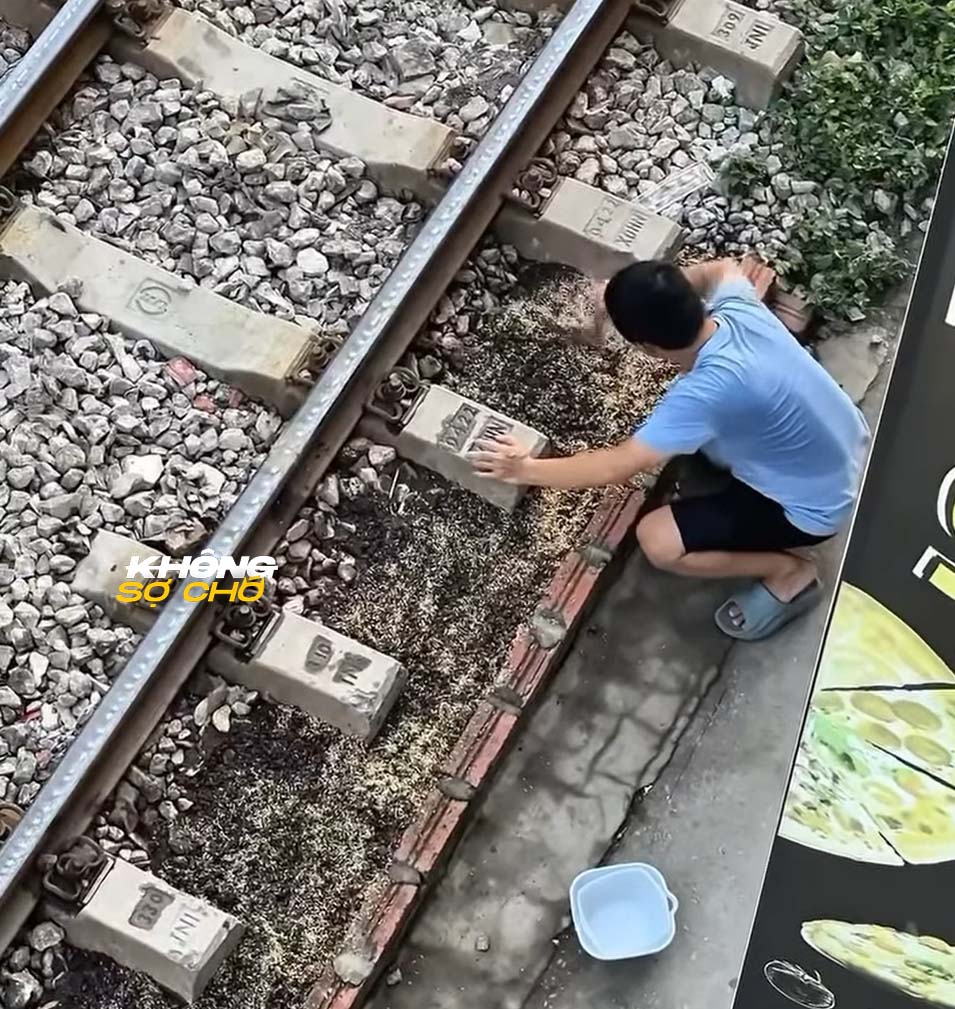 Chồng trồng rau cạnh đường ray, vợ than khóc khi công nhân đến 2 554625132 1125202526371843 6467792703751984390 n