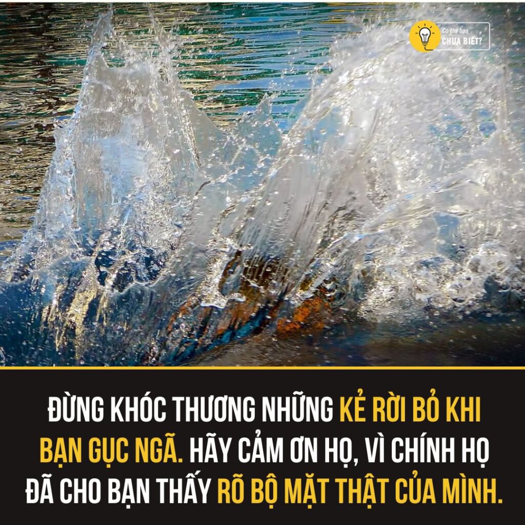 Bài Học Cuộc Đời Từ Câu Chuyện Của Loài Cáo 2 554755813 1366441888484036 485215238414984042 n