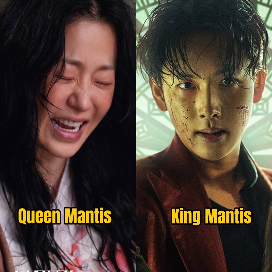 Im Siwan So Sánh Vai Diễn Với Go Hyun Jung Trong Mantis 2 554916023 1096034439280422 4207647329390598713 n