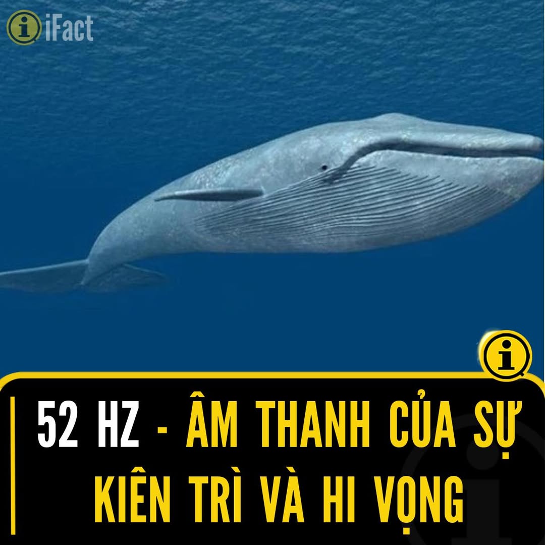 554973111 1224894996342988 1062064676917317358 n
