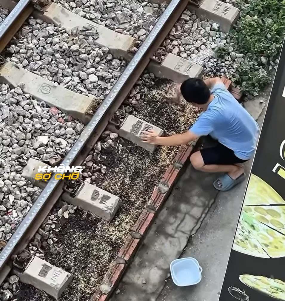 Chuyện Dở Khó: Trồng Rau Cạnh Đường Ray Tàu Hỏa 2 555451249 1220774570081100 1797445126836955395 n