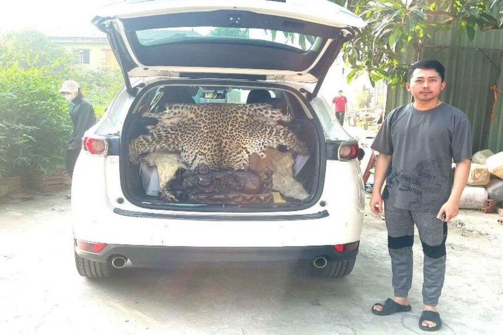Đặng Hoàng Giang: Cuộc phiêu lưu buôn bán da báo hoa mai 2 555795288 1224206436404580 5071268091546026714 n