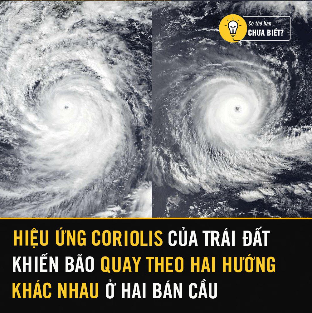 Hiệu ứng Coriolis: Bí ẩn về chuyển động không khí và nước 2 555801930 1367345648393660 4211825754529462020 n