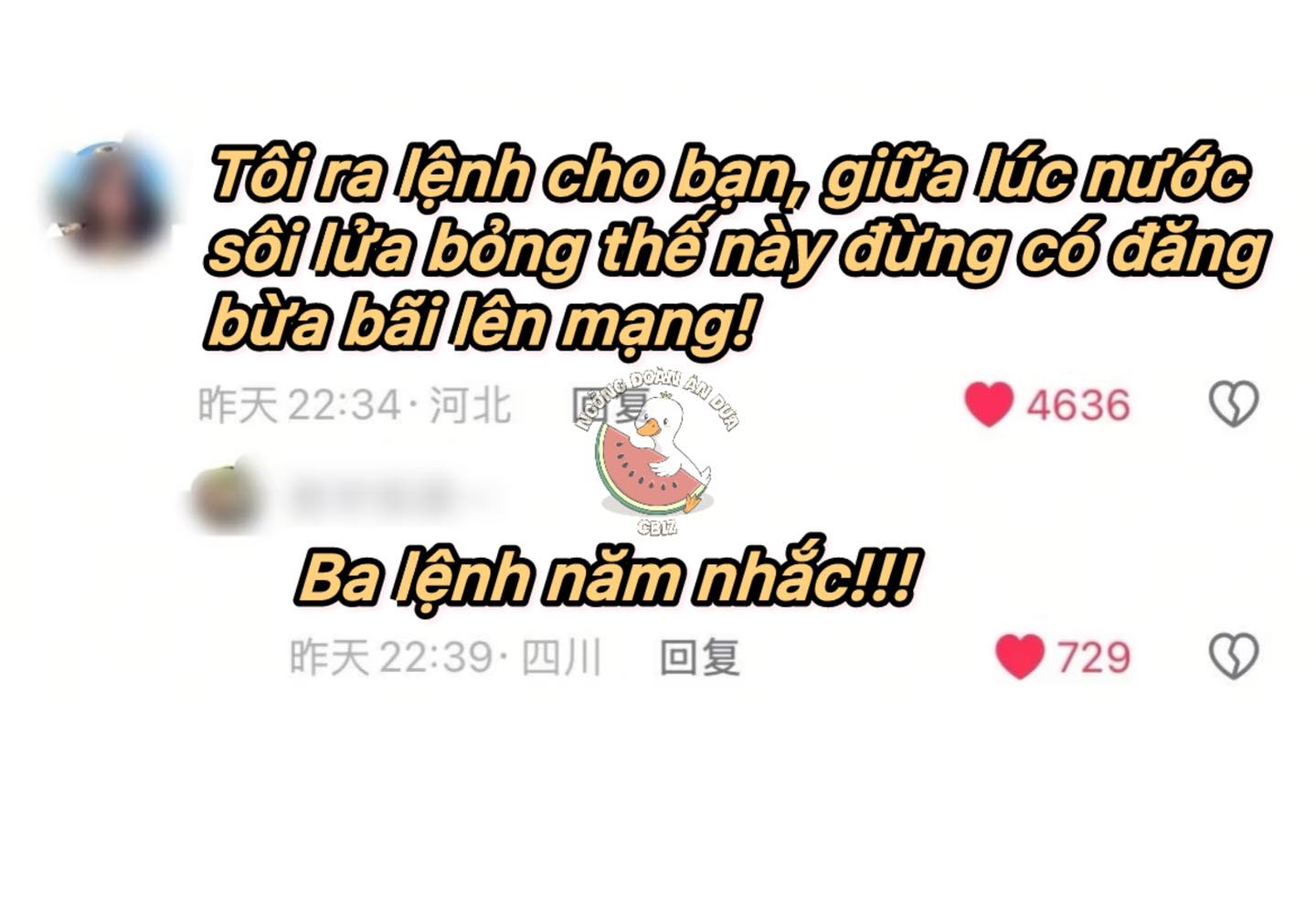 CNET Bất Ngờ Đồng Thanh Bảo Vệ Hứa Nghiên 6 555934924 772294165509822 3052611958749763209 n
