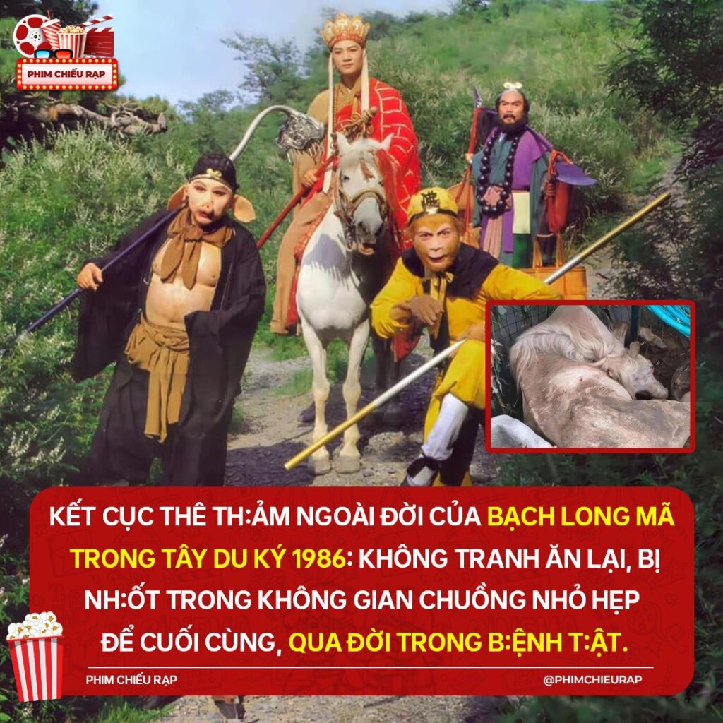 Số phận bi thảm của chú ngựa Bạch Long Mã trong Tây Du Ký 2 556084291 774324292119375 2875260561439594730 n
