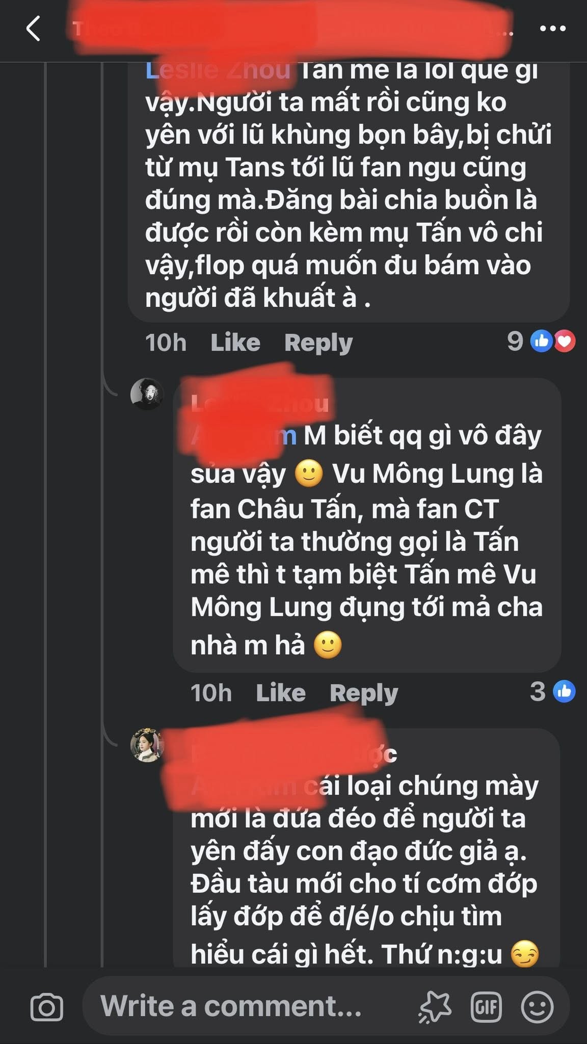 Fan Châu Tấn: Từ sự thương tiếc đến những tranh cãi trái chiều 4 556117946 122182256990427003 4344180200550272146 n