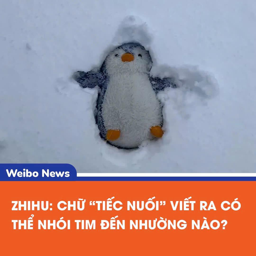 Những nỗi tiếc nuối trong cuộc sống và tình yêu thương 2 556228119 1193489209478454 7197573508754456649 n